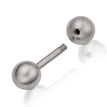 Laden Sie das Bild in den Galerie-Viewer, Platin-Barbell Groß mit 8 mm Stab